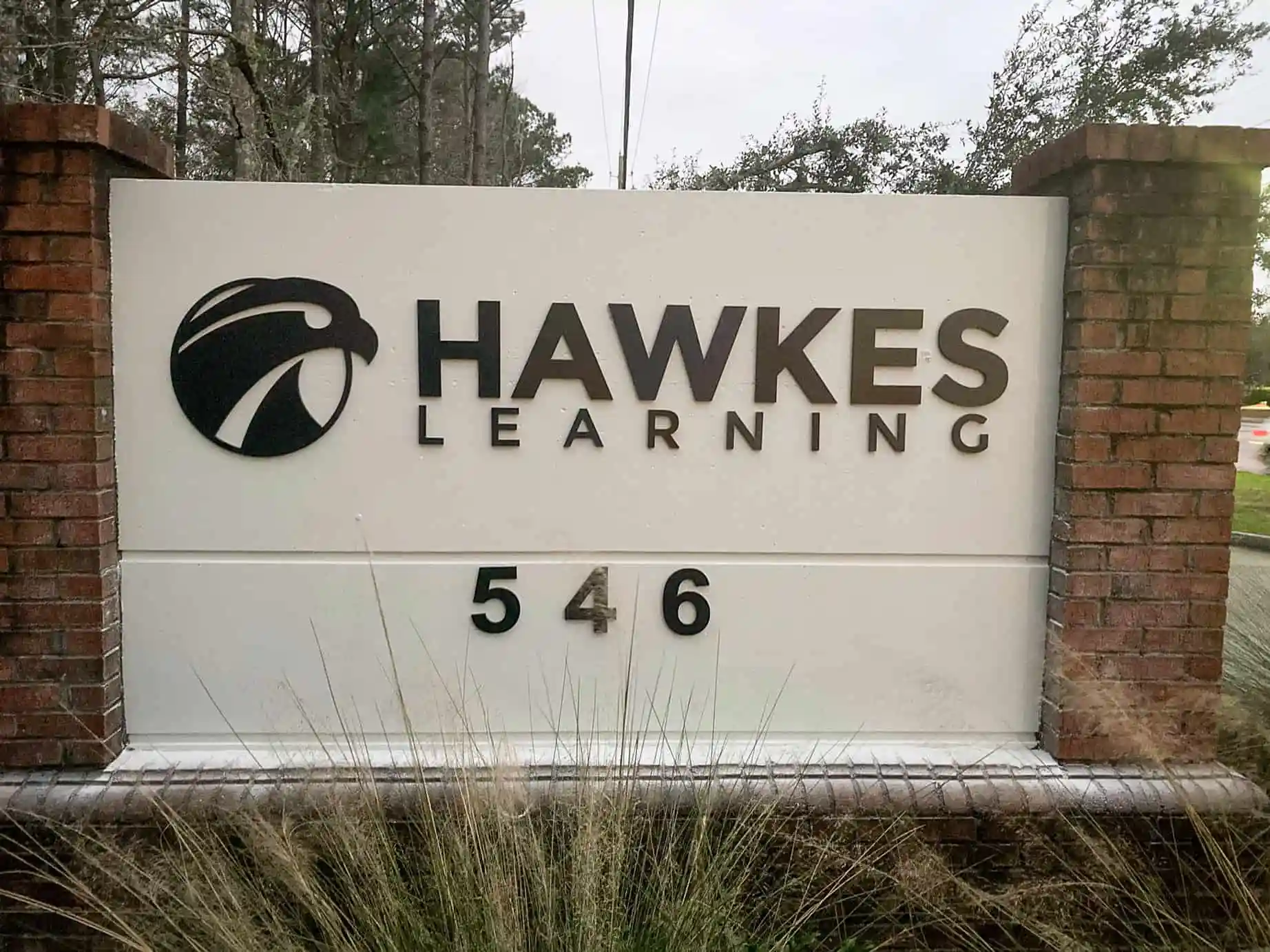 Exterior Dimensional Lettering for Hawkes Learning