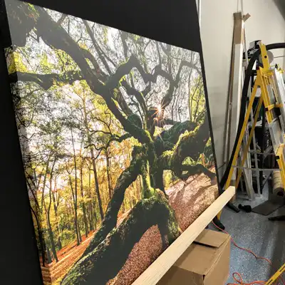 A Gallery Wrapped Canvas of Angel Oak Tree