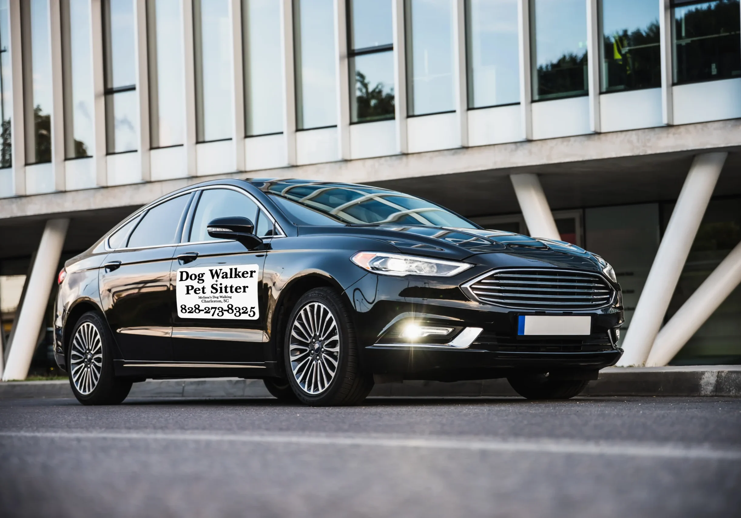 Vehicle Magnets for Pet Sitter